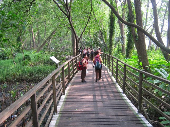 Kawasan wisata hutan Mangrove Pantai Indah Kapuk