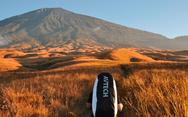 Padang savana di jalur pendakian Rinjani