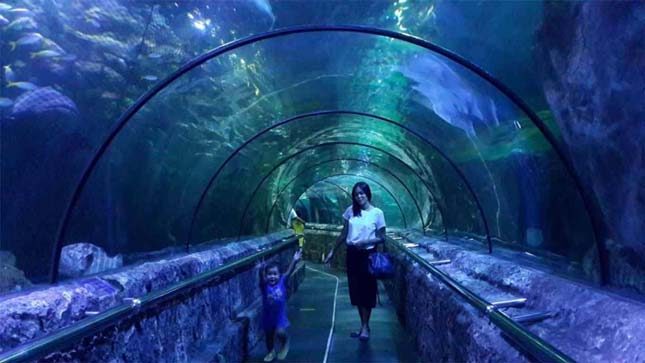 Taman wisata Jakarta aquarium