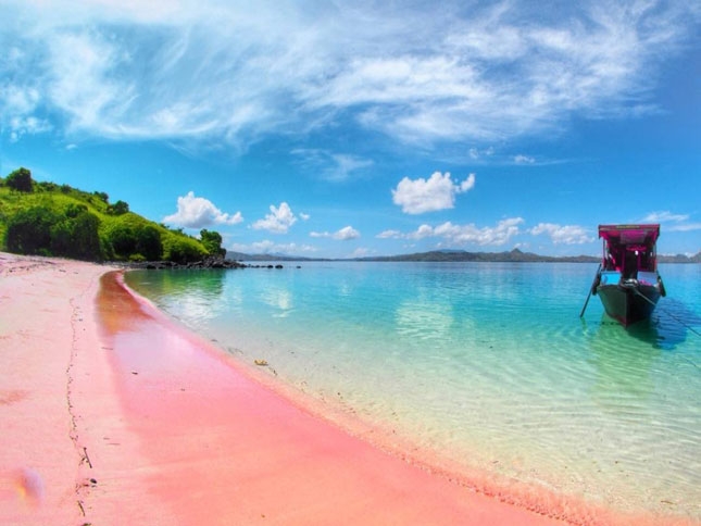 Wisata pantai pink di pulau Komodo